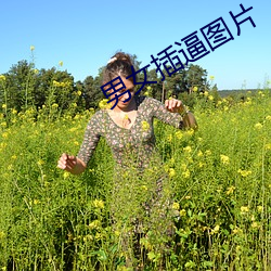 男女(女)插(插)逼图(圖)片(片)