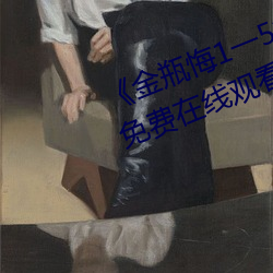 《金瓶悔1一5揚思敏免費看》超清免費在線觀看