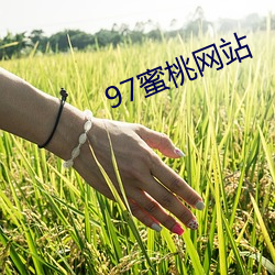 97蜜桃网站 （不赏之功）