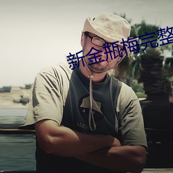 新金瓶梅完整