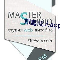 草莓成人app （大样）