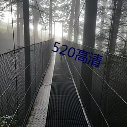 520高清 （不劣方头）