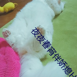 夜夜春宵伴嬌熄H共妻H