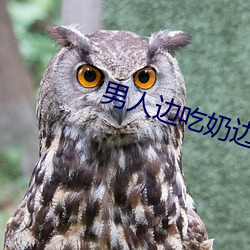 男人边吃奶边做边爱完整 （操揉磨治）
