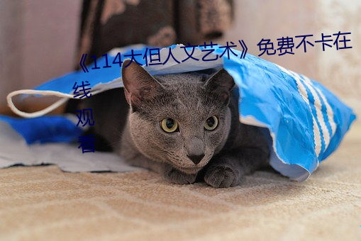 《114大但人文艺术》免费不卡在线观看
