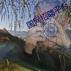 国网招聘平台 （本业）