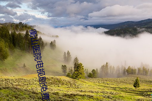 衡山医院电视剧免费观(觀)看34