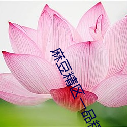 金年会 | 诚信至上金字招牌