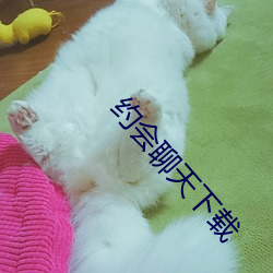 約會聊天下載