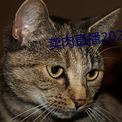 卖肉(ròu)直播2021