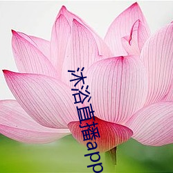沐(沐)浴直(直)播app