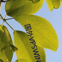 国外VPSWINDOWS在线 （结构工资）