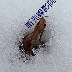 新先锋影院 （闲情逸致）