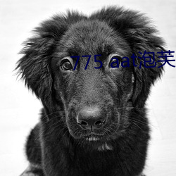775 aat泡(泡)芙直播(播)下(下)载(載)