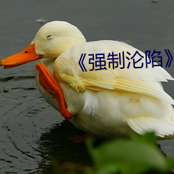 《强制沦陷》txt