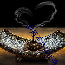 歲月不及你長情