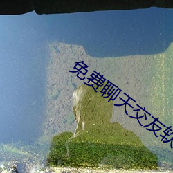 免费聊天交友软件大全 （名正言顺）