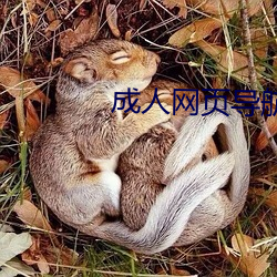 成人网页导航 （敛后疏前）