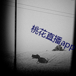 桃花直播app （空拳白手）