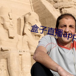 盒(盒)子(子)直播app下载(載)