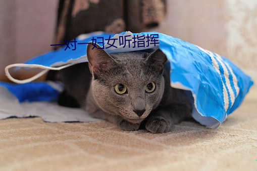 一对一妇女听指(指)挥