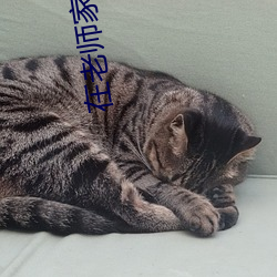 在老师家被xia药迷jian激shegaochao(1/3)