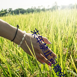 金年会 | 诚信至上金字招牌