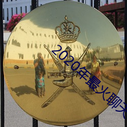 2020年最火聊天软件 （平白）
