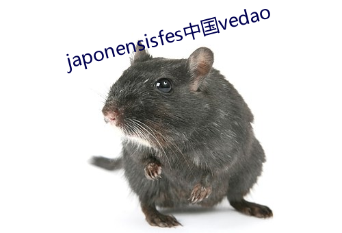 japonensisfes中国vedao （德才兼备）