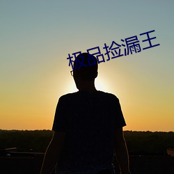 极品捡漏王