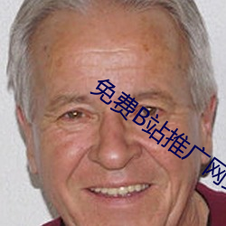 免(免)费(費)B站推广(廣)网站入口
