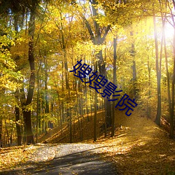 嫂嫂影院