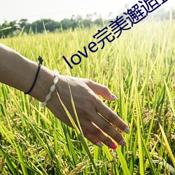 love完美邂逅直播app下载