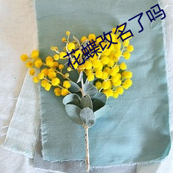 花(花)蝶改名了吗