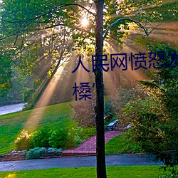 人(人)民(民)网(網)愤怒发(發)文“嫩BBB槡(槡)BBBB槡(槡)”