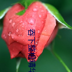 吞下整根精华全部吃下去
