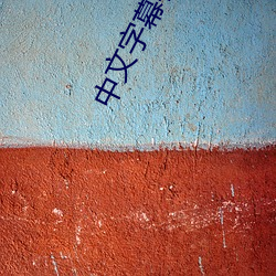 中文(wén)字幕在线资源