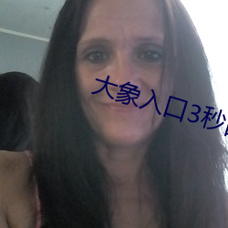 大象入口3秒自动进入