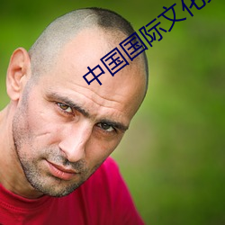 中(中)国国际文(文)化交(交)流(流)中(中)心