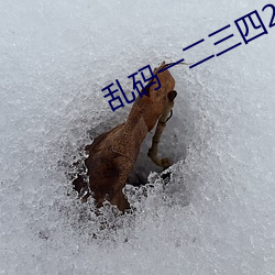 乱码一二三四2021地址