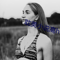耽美小说高h