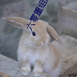 六零重组家庭