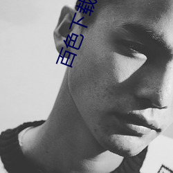 百色下載安裝