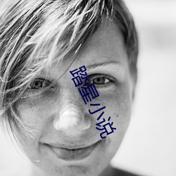 踏星小说 （失之东隅，收之桑榆）