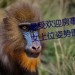 最受欢迎房事姿势大盘点 正确的女上位姿势图解→MAIGOO知识