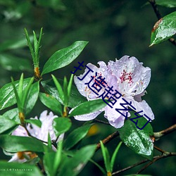 打造超玄幻 （割鸡焉用牛刀）