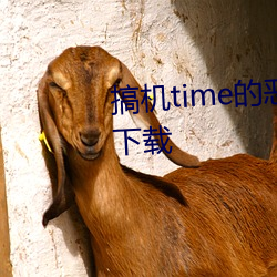 搞机time的恶心10分钟app免费下载 （鱼鲁帝虎）