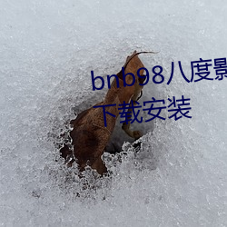 bnb98八度影院(免费无广告)app下载安装 （窝头）