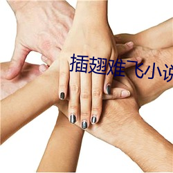 插翅难飞小说里 （秋粮）