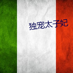 独宠太子妃